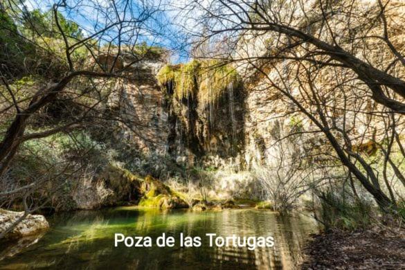 Photo of Others in Moratalla