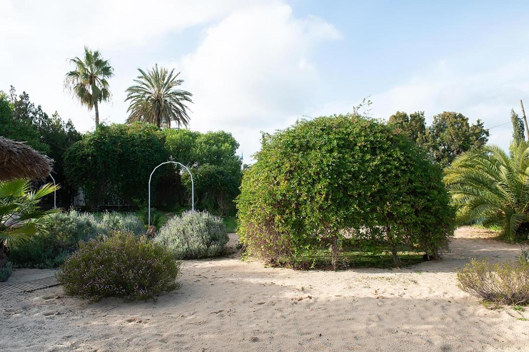 Photo of Others in Santa Eulalia del Rio