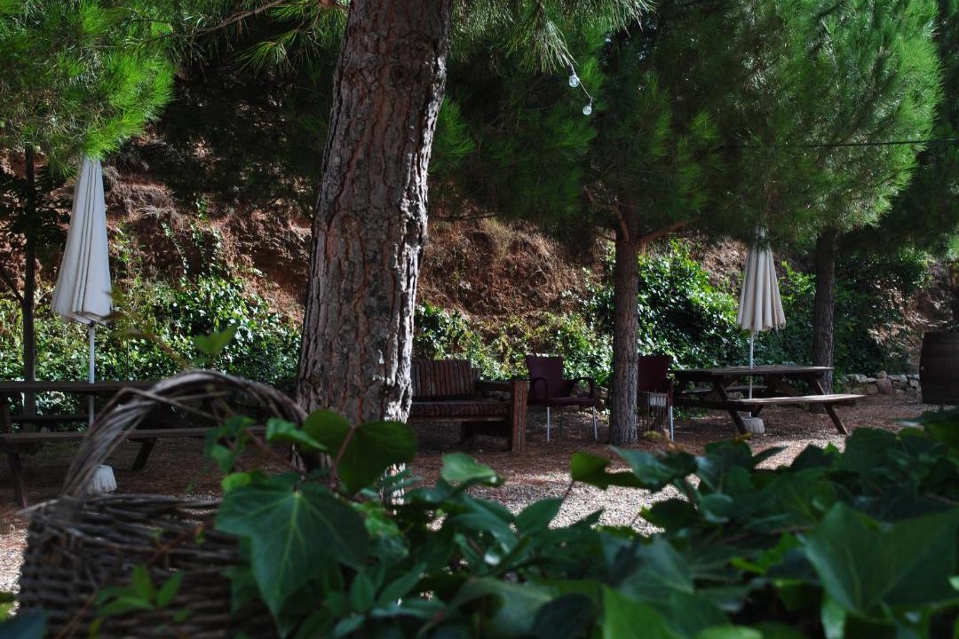 Photo of Others in Cornudella de Montsant