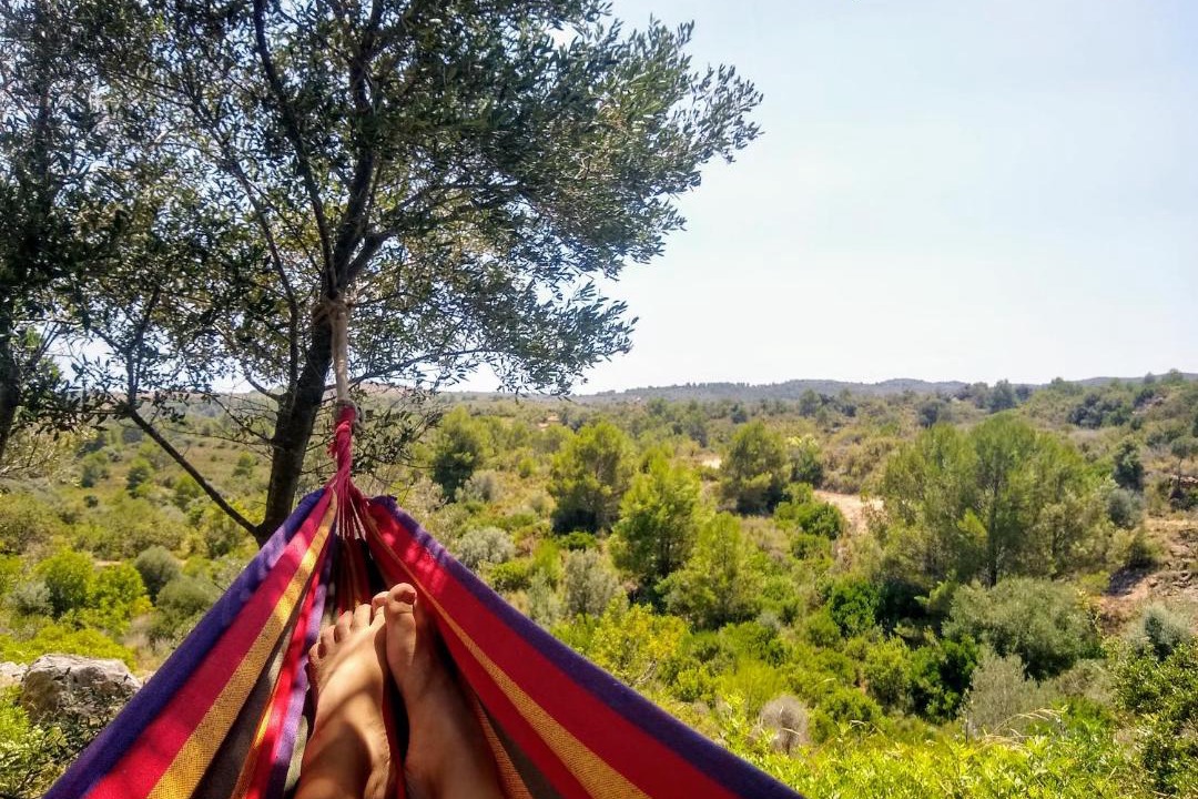 Photo of Others in Vilanova d'Alcolea
