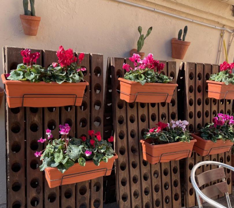 Photo of Patio Balcony in Guardia dels Prats