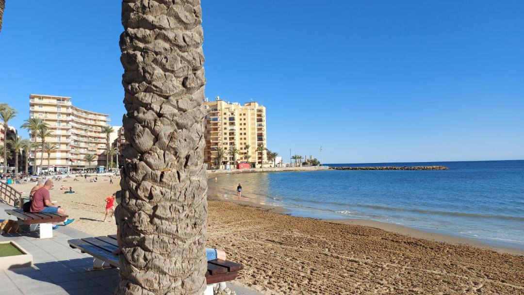 Photo of Others in Torrevieja
