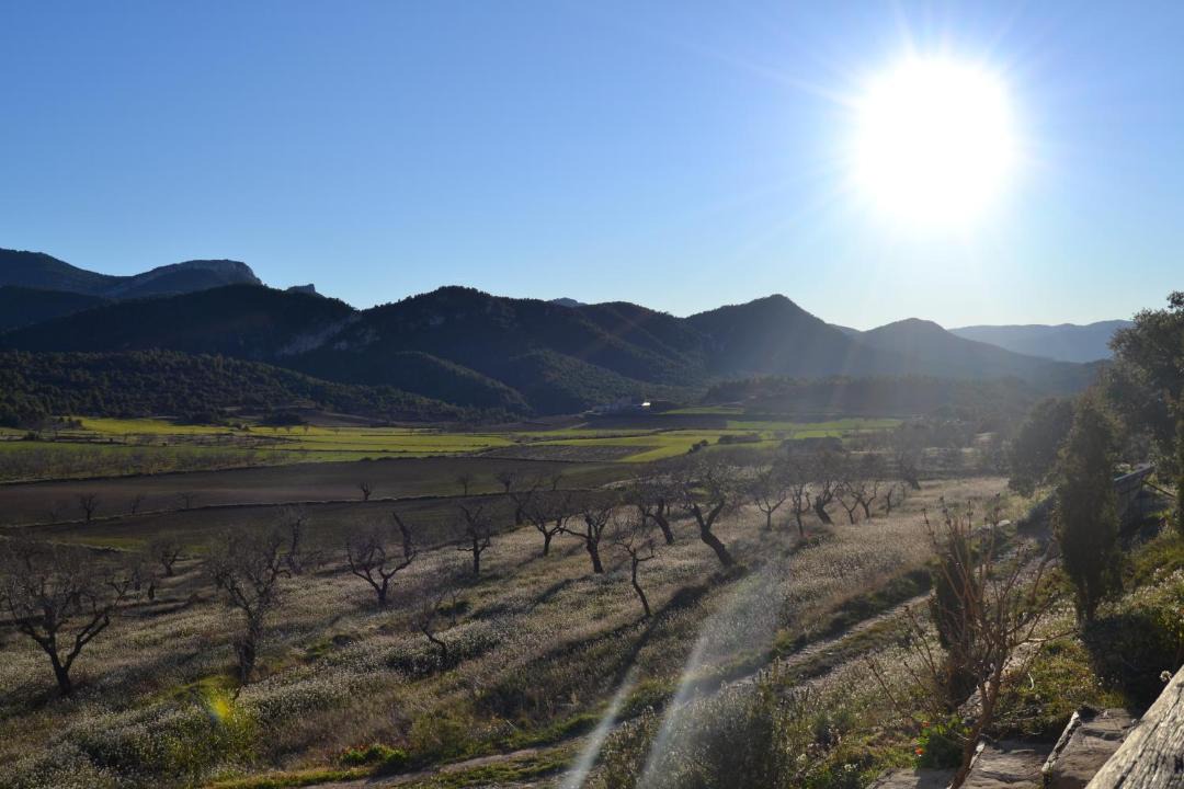 Photo of Others in Penarroya de Tastavins