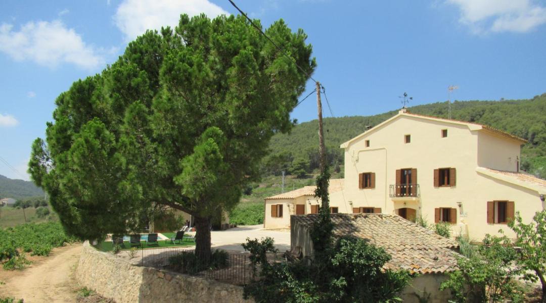 Photo of Others in Aiguamurcia