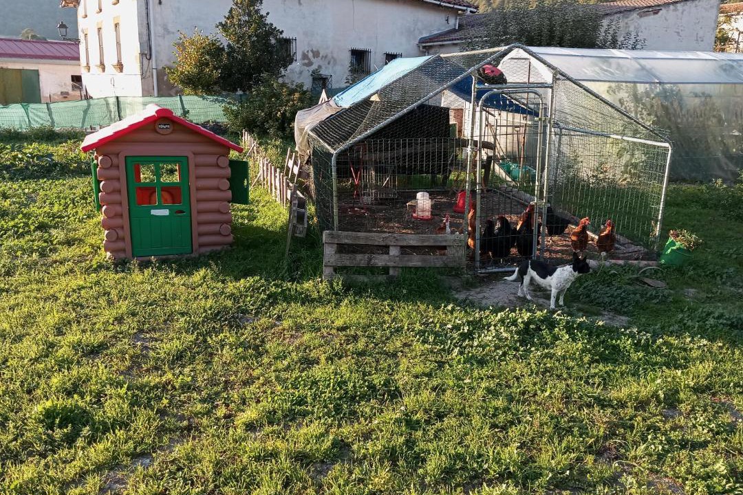 Photo of Others in Larraona