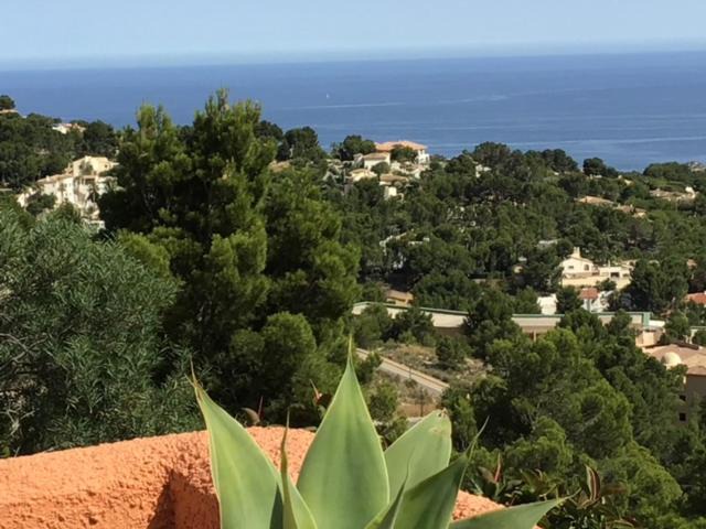 Photo of Others in Altea la Vella
