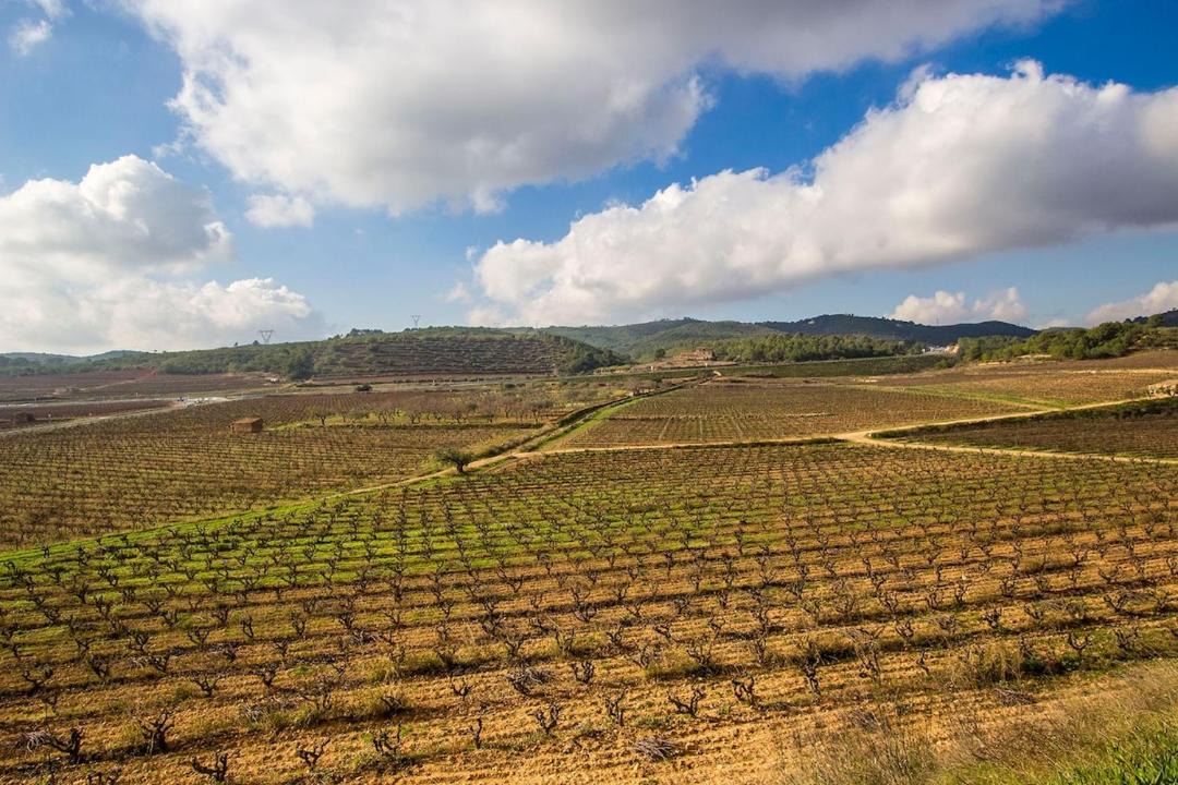 Photo of Others in La Bisbal del Penedes