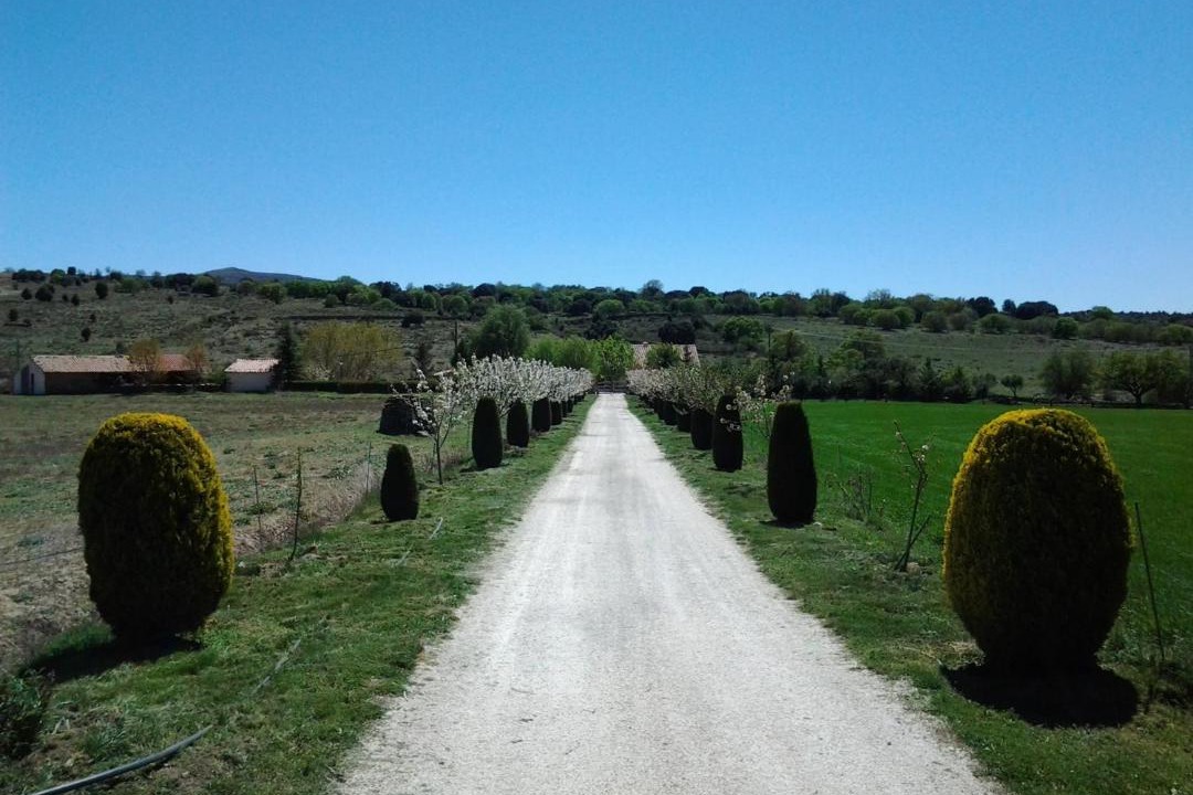 Photo of Others in Morella