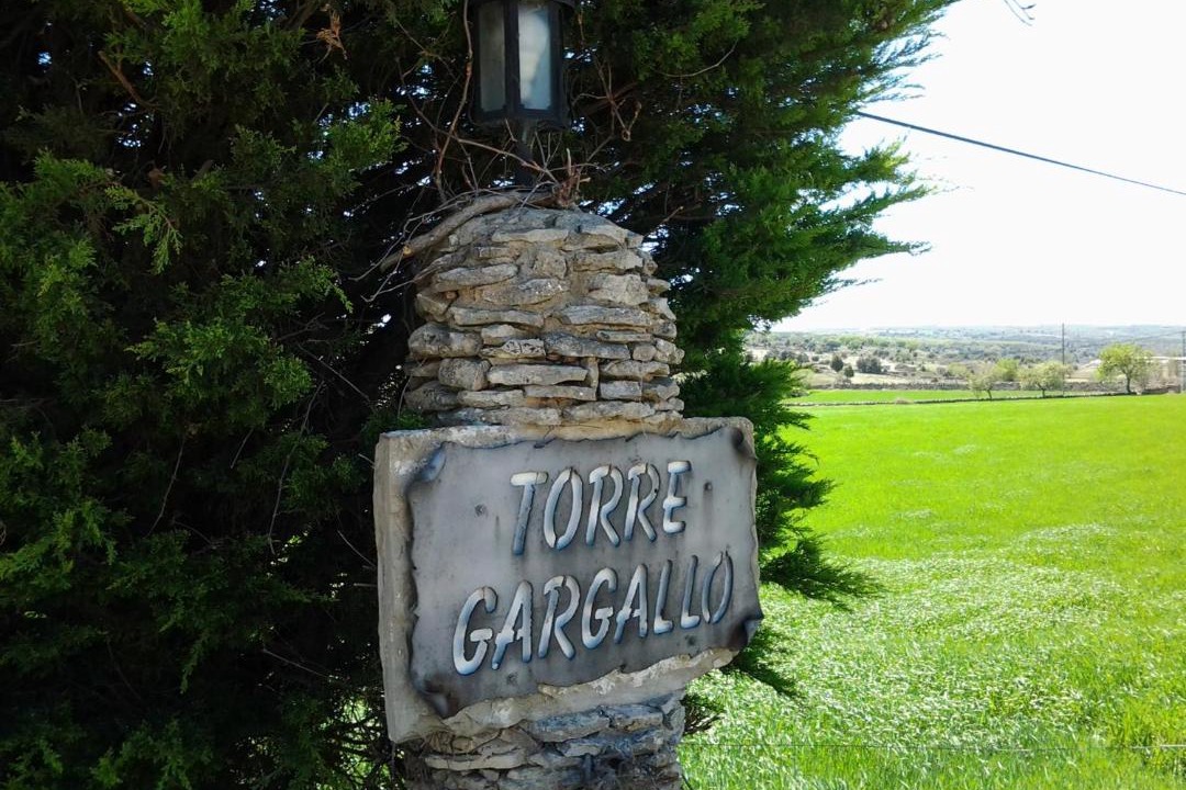 Photo of Others in Morella