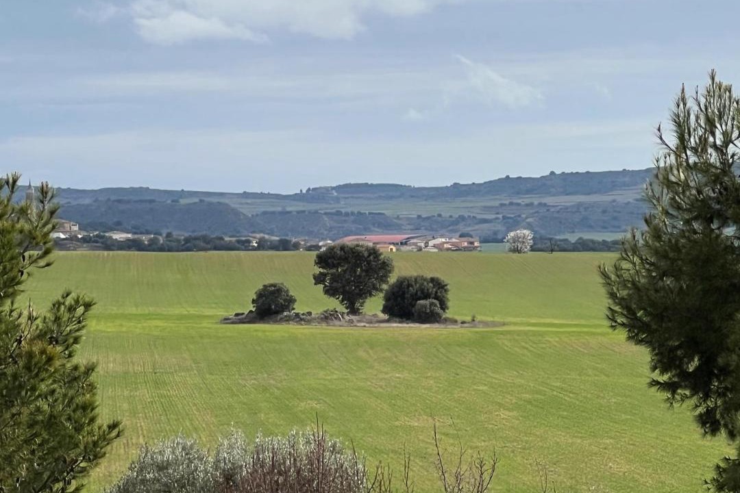 Photo of Others in Albero Alto