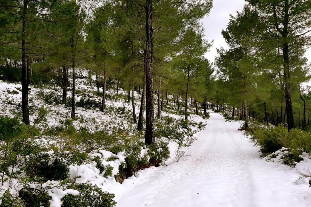 Photo of Others in Moratalla