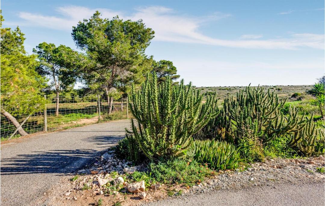 Photo of Outdoor in La Siesta