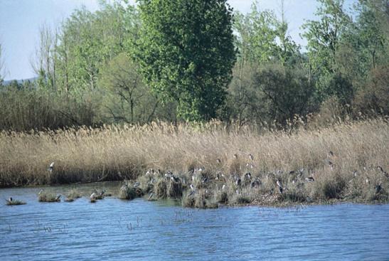 Photo of Others in El Burgo de Ebro
