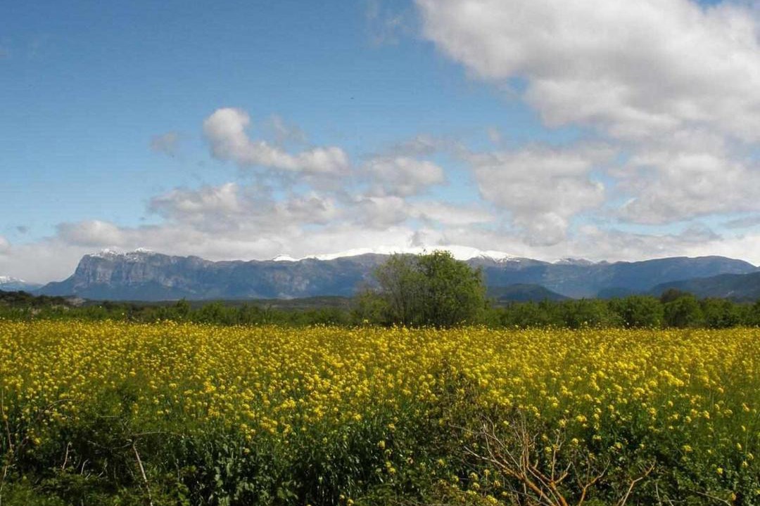 Photo of Others in Ainsa-Sobrarbe