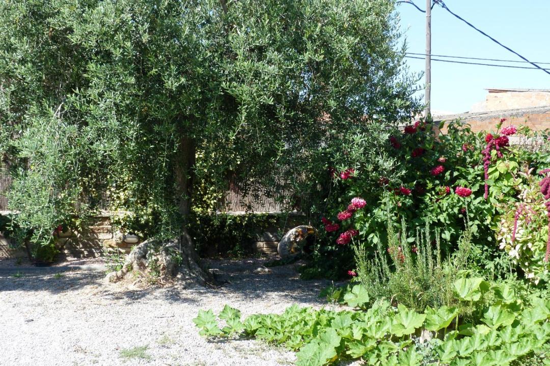 Photo of Others in Verdu