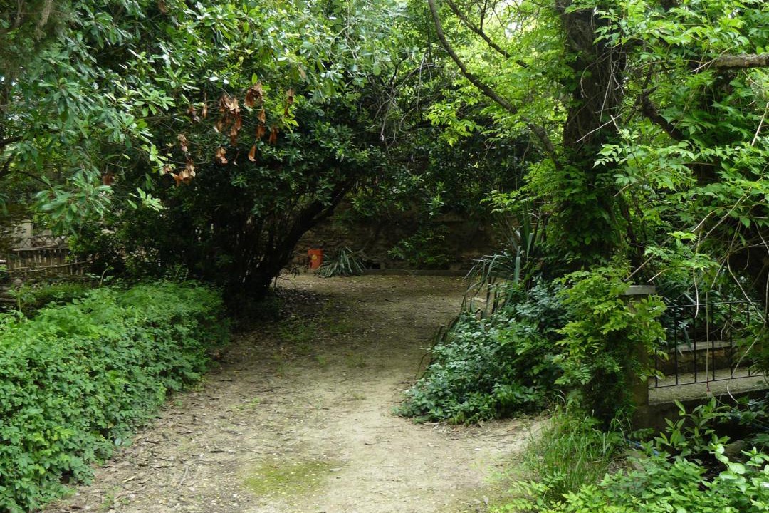 Photo of Others in Ainzon