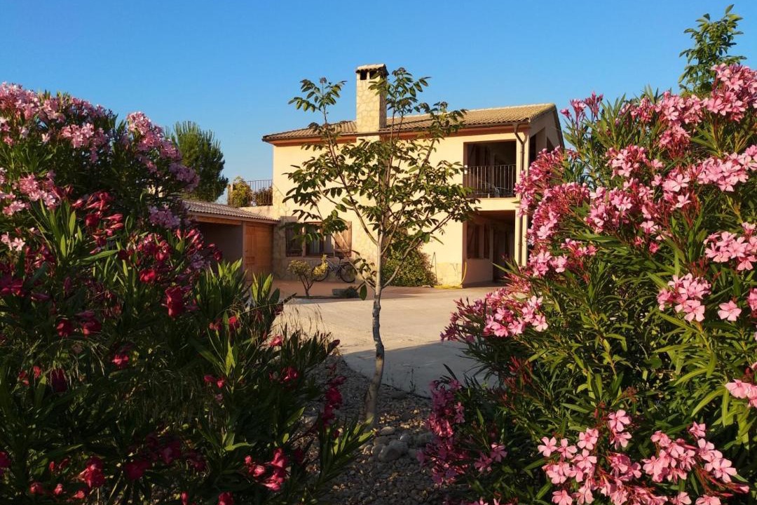 Photo of Buildings in Mas de las Matas