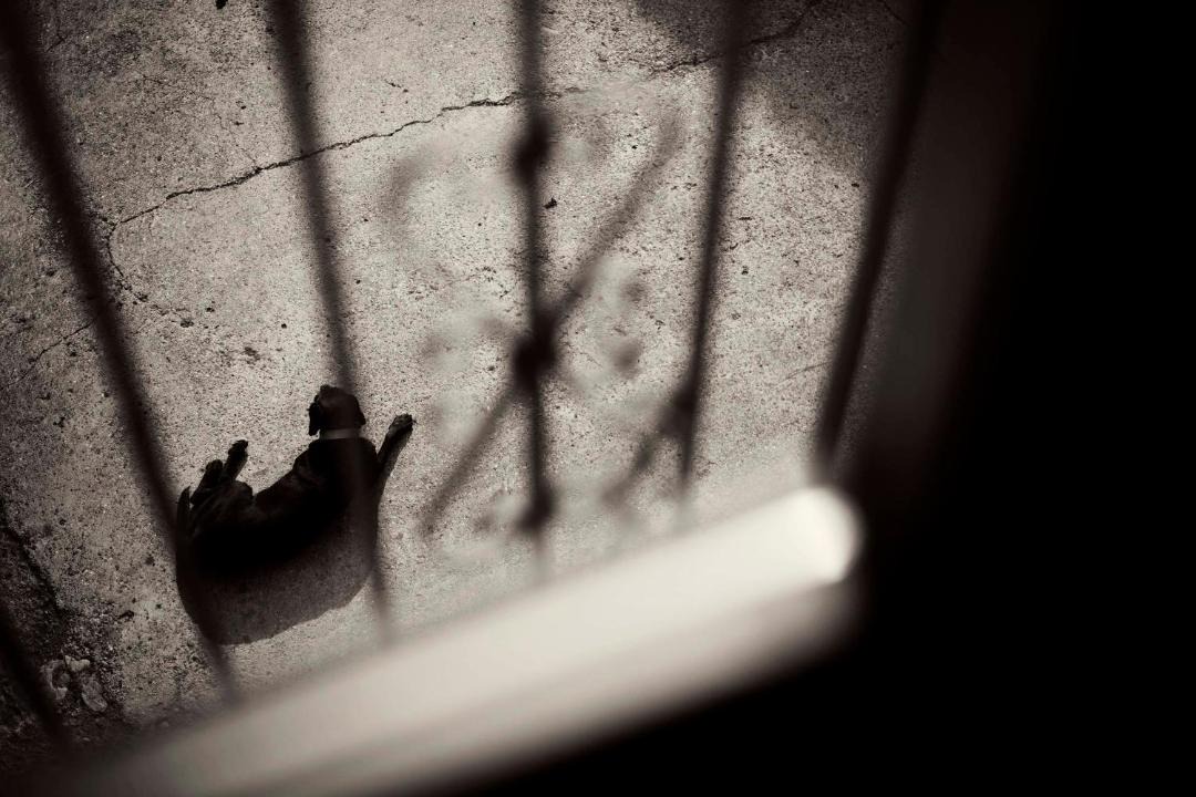 Photo of Others in Coll de Nargo