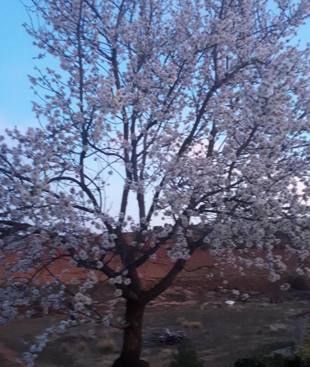 Photo of Outdoor in Albentosa