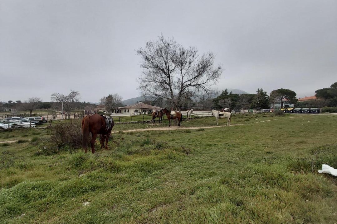 Photo of Others in Cerceda