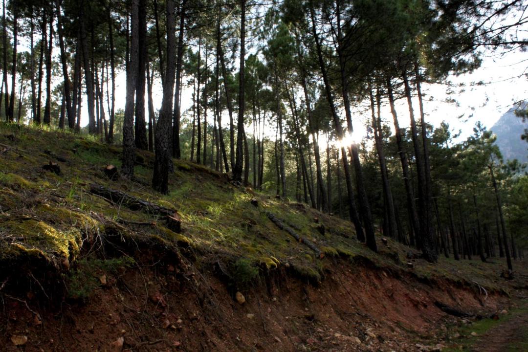 Photo of Others in Molinicos