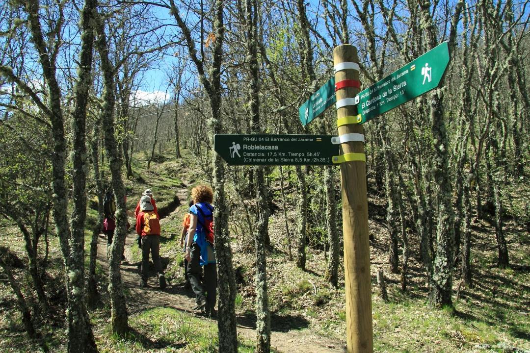 Photo of Others in Campillo de Ranas