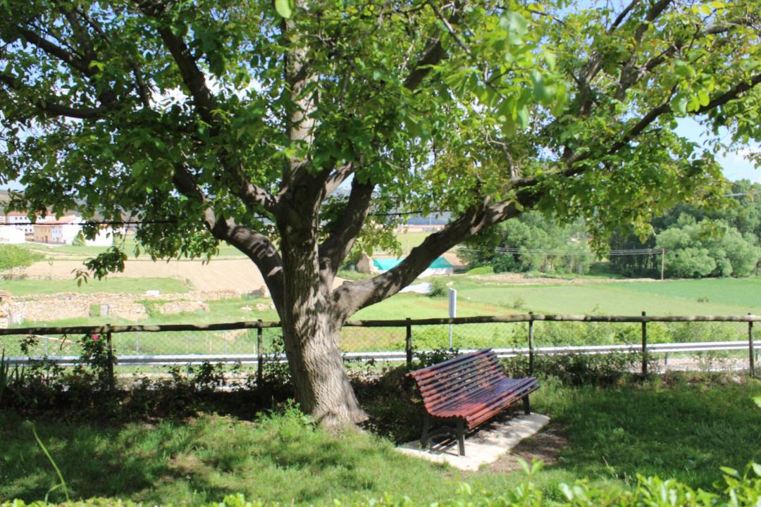 Photo of Outdoor in Mosqueruela