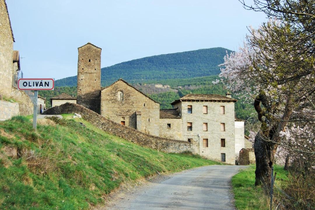 Photo of Others in Olivan