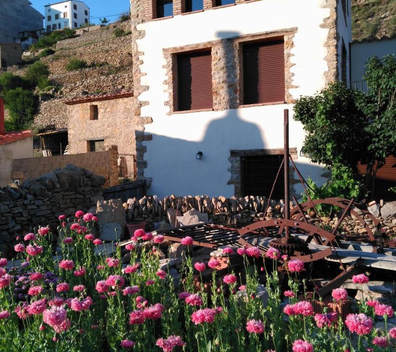 Photo of Others in Villafranca del Cid