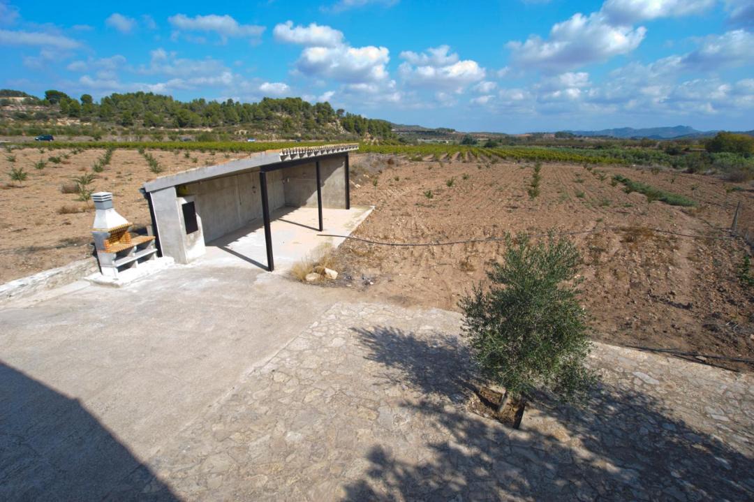 Photo of Others in Corbera d'Ebre