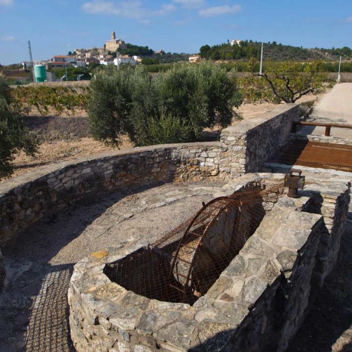 Photo of Others in Corbera d'Ebre
