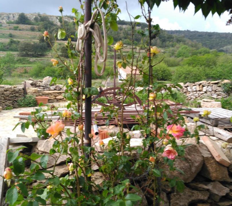 Photo of Others in Villafranca del Cid