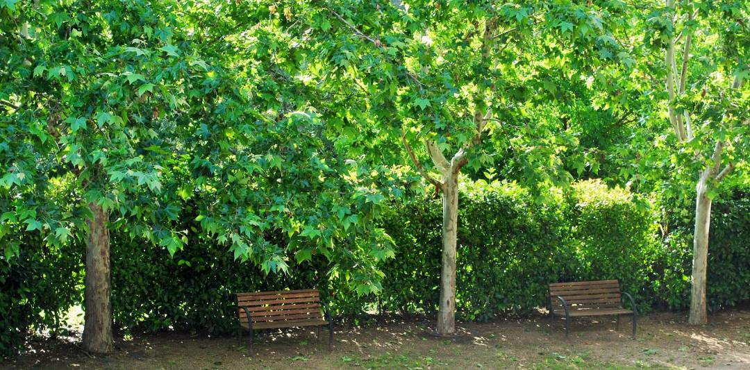 Photo of Others in Cornudella de Montsant