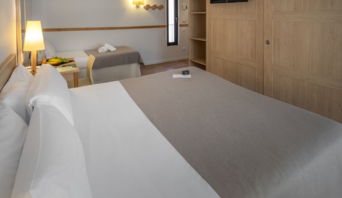 Comfort Triple Room (2 adults and 1 child)