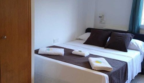 Basic Apartment