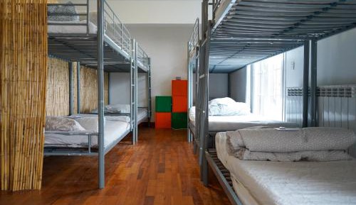 Bunk Bed in Mixed Dormitory Room