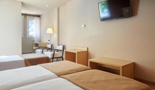 Basic Triple Room