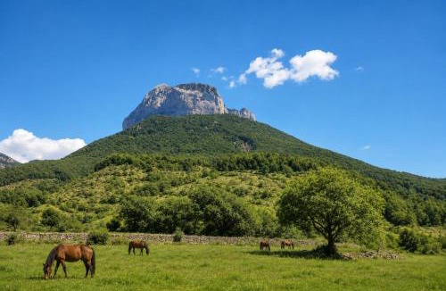 Laspuna Apartment | El Cajigar Ordesa Aínsa