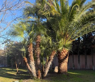 Province of Toledo Villa | Montesión 71 - Casa con piscina & jardín, al lado de Puy du Fou