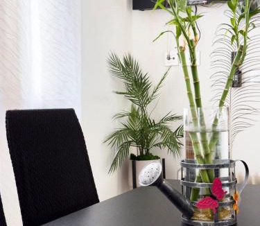 Alcaniz Apartment | Apartamento Nayara