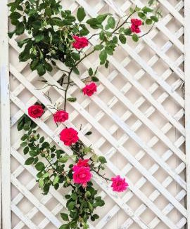 Zizur Mayor Hostel | Bed in mixed room of 3 to 4 or private room for 3 to 4