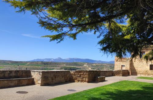 Viana House | Casa palaciega Doña Leocadia