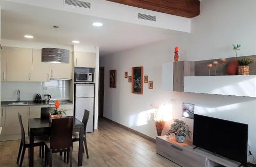 Barrio del Carmen Apartment | Flats Piera Valencia Center