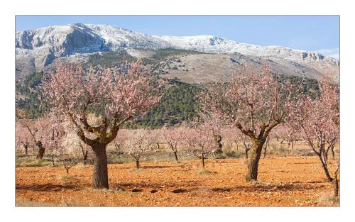 Lorca Bed & Breakfast | Lorca B&B Casa Lamberdina
