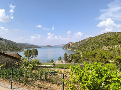 El olivar de Entrepeñas