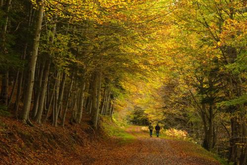 Ático Camino Real by BeValle