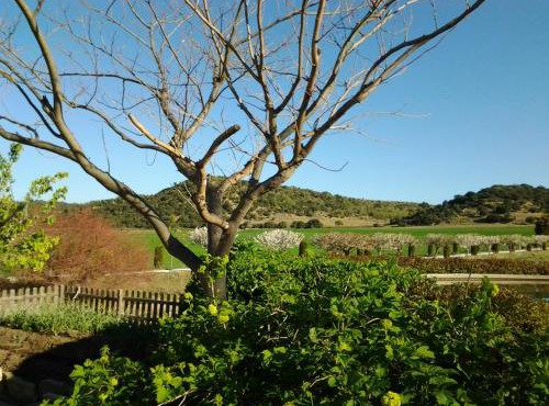 Casa Rural Torre Gargallo